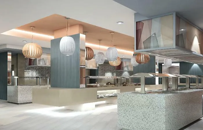 酒店 Riu Palace Palmeras