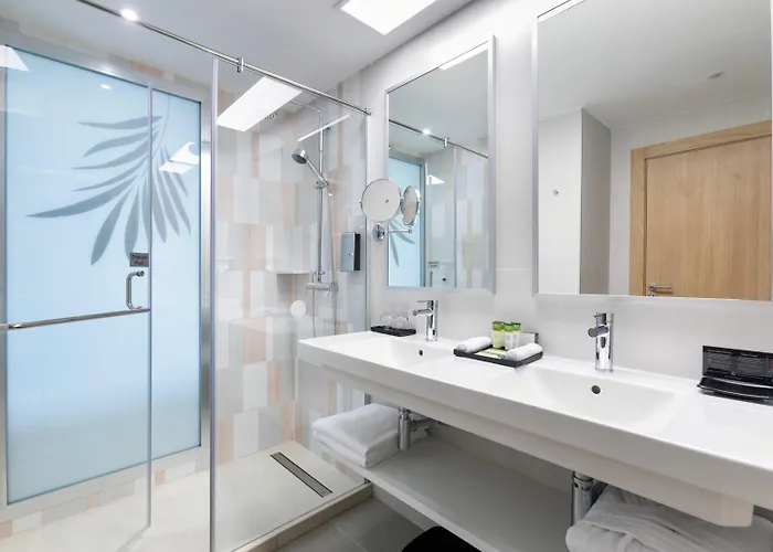 酒店 Riu Palace Palmeras