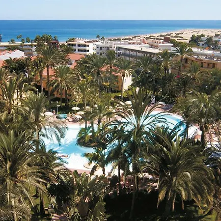 酒店 Riu Palace Palmeras